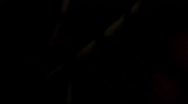 Samuel Suarez online show from 12.16.24