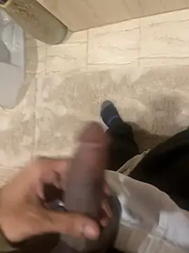 dingoding online show from 12.28.24