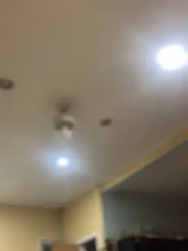 dingoding online show from 02.07.25