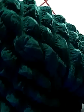 kelly dirty  online show from 03.19.25