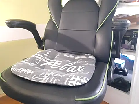 Snapshot of feathersify chatting on 11.04.25 feathersify online show from 11.04.25