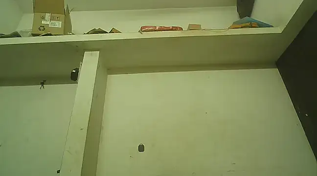 Snapshot of Akhilamolu_the_transsissy chatting on 01.20.25 Akhilamolu the transsissy online show from 01.20.25