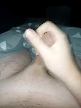 Snapshot of bertvanboere chatting on 01.05.25 bertvanboere online show from 01.05.25