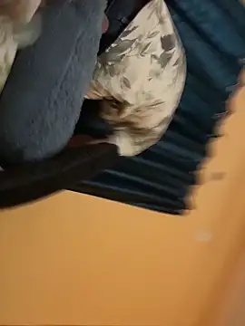 wow-wow-sexy online show from 05.27.26