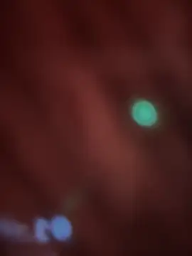 Snapshot of _Danna chatting on 02.14.26 Danna online show from 02.14.26