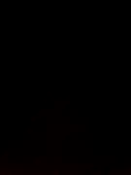 Snapshot of Like_african chatting on 02.09.26 Like african online show from 02.09.26