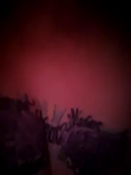 julimonroe online show from 02.18.26