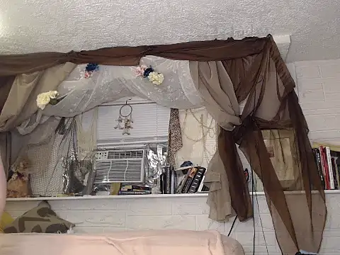 Snapshot of MaxiMillz chatting on 11.23.25 MaxiMillz online show from 11.23.25