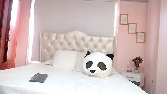 Snapshot of ryan_maxy chatting on 01.29.25 ryan maxy online show from 01.29.25