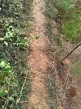 Snapshot of Gopal1243 chatting on 12.14.24 Gopal1243 online show from 12.14.24