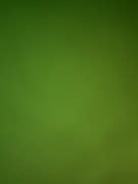 Snapshot of Gopal1243 chatting on 01.29.25 Gopal1243 online show from 01.29.25