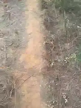 Snapshot of Gopal1243 chatting on 02.10.25 Gopal1243 online show from 02.10.25