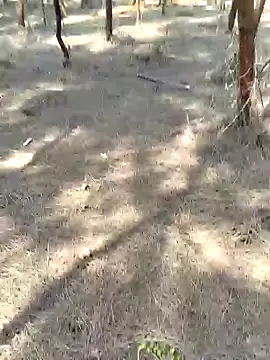 Snapshot of Gopal1243 chatting on 02.20.25 Gopal1243 online show from 02.20.25