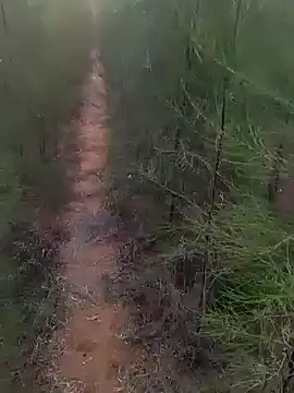 Snapshot of Gopal1243 chatting on 03.01.25 Gopal1243 online show from 03.01.25