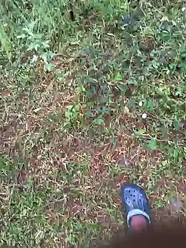 Snapshot of Gopal1243 chatting on 10.27.25 Gopal1243 online show from 10.27.25