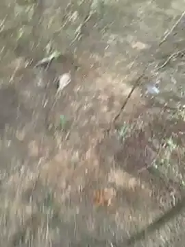 Gopal1243 online show from 03.27.26