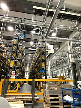 danicohoney online show from 09.16.25