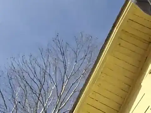 Snapshot of highstepper500 chatting on 12.25.24 highstepper500 online show from 12.25.24