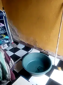 LULE37587001 online show from 11.22.25