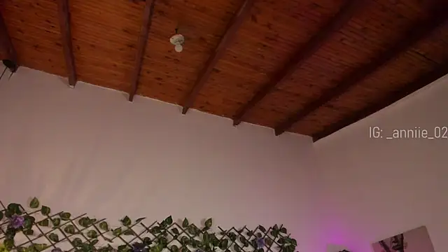 annie barozzi online show from 01.23.25