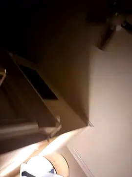 Snapshot of IMS_BHAVEN chatting on 03.04.26 IMS BHAVEN online show from 03.04.26