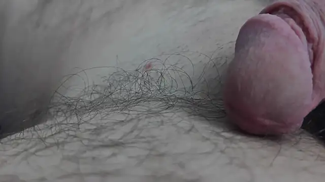 Snapshot of Fist-my-ass chatting on 11.24.25 Fist-my-ass online show from 11.24.25