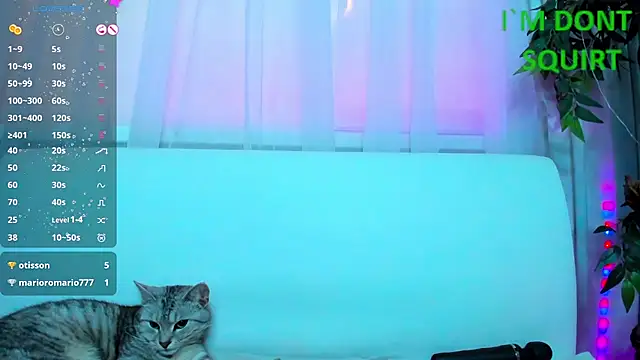 Bell a mi  online show from 03.08.25