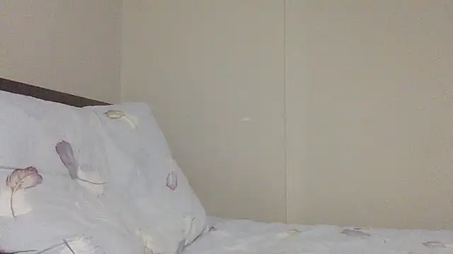 your andy online show from 11.19.25