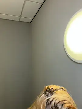 Strongqueen online show from 02.13.26