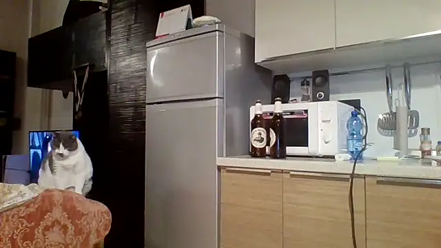 woww791 online show from 10.07.25