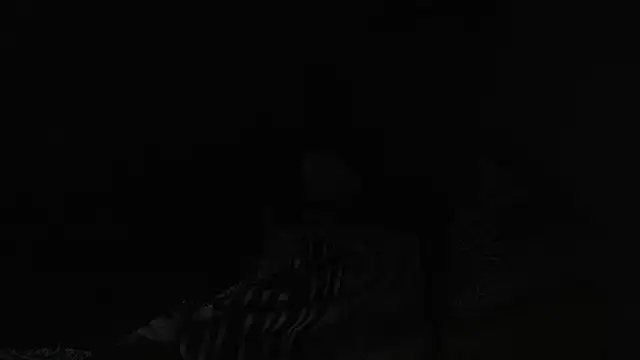 BELINDAXXXXX online show from 12.13.24