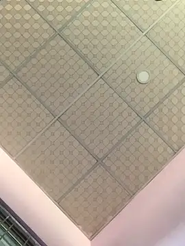 Hullax online show from 11.07.25