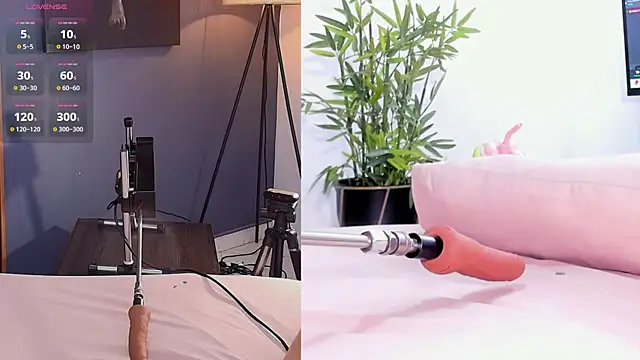 Sweet Susie  online show from 07.28.26