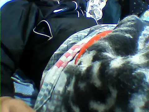 messi syssy online show from 09.25.25