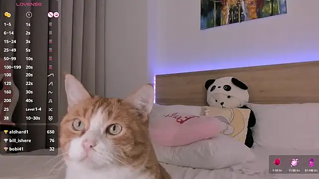 Snapshot of Lenstardi chatting on 02.15.25 Lenstardi online show from 02.15.25