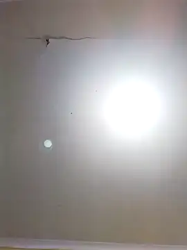 Snapshot of DangerousSafari chatting on 11.03.25 DangerousSafari online show from 11.03.25