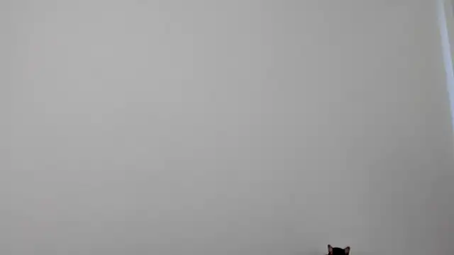 All yours555 online show from 10.17.25