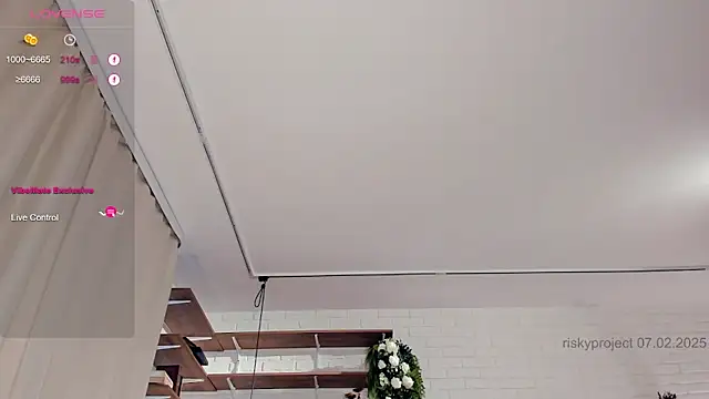 Snapshot of Riskyproject chatting on 02.07.25 Riskyproject online show from 02.07.25