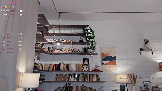 Snapshot of Riskyproject chatting on 03.04.25 Riskyproject online show from 03.04.25