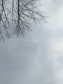 Iceblanca online show from 03.19.25