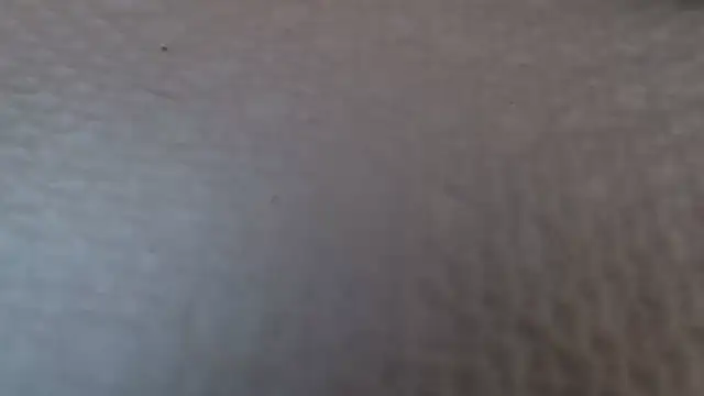 TsSandyx online show from 04.30.26