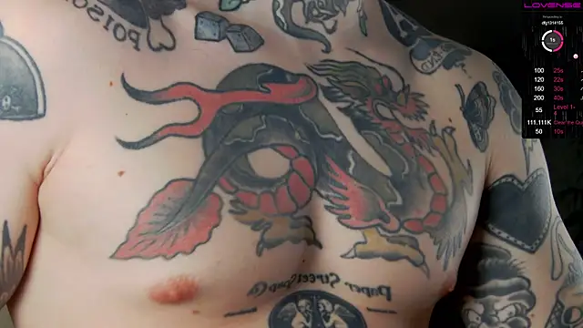 Tommy cat online show from 12.19.24