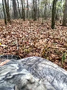 Themechanic420 online show from 12.13.25