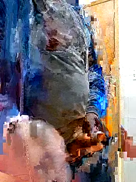 Jeffikuis online show from 09.23.25