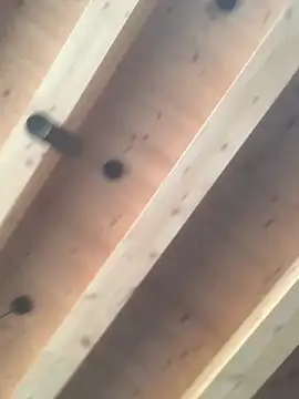 Snapshot of Fellix chatting on 12.11.24 Fellix online show from 12.11.24