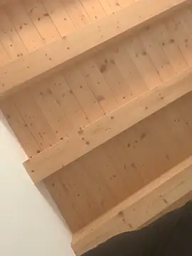 Snapshot of Fellix chatting on 02.04.25 Fellix online show from 02.04.25