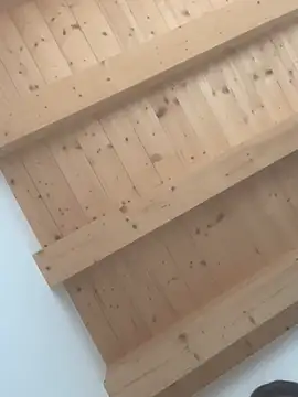 Snapshot of Fellix chatting on 02.24.25 Fellix online show from 02.24.25