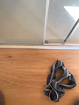 Snapshot of Fellix chatting on 03.04.25 Fellix online show from 03.04.25