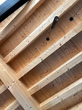 Snapshot of Fellix chatting on 10.17.25 Fellix online show from 10.17.25