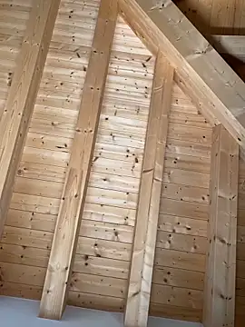 Snapshot of Fellix chatting on 10.27.25 Fellix online show from 10.27.25